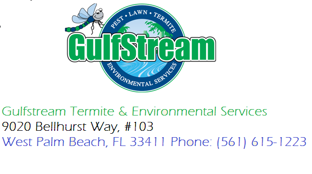 termite treatment